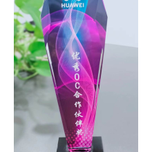 2020-華為-優秀OC伙伴獎