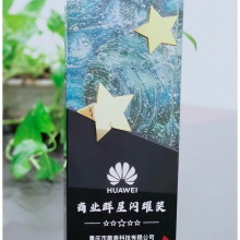 2022-華為-商業群星閃耀獎