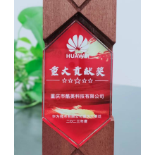 2023-華為-重大貢獻獎